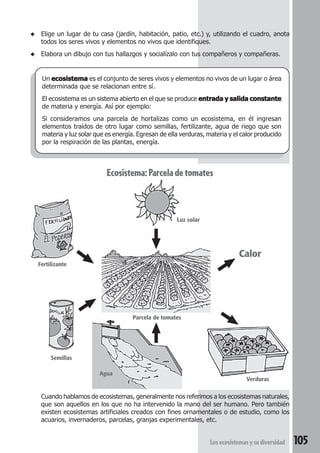 ◆ Elige un lugar de tu casa (jardín, habitación, patio, etc.) y, utilizando el cuadro, anota 
todos los seres vivos y elementos no vivos que identifiques. 
◆ Elabora un dibujo con tus hallazgos y socialízalo con tus compañeros y compañeras. 
Un ecosistema es el conjunto de seres vivos y elementos no vivos de un lugar o área 
determinada que se relacionan entre sí. 
El ecosistema es un sistema abierto en el que se produce entrada y salida constante 
de materia y energía. Así por ejemplo: 
Si consideramos una parcela de hortalizas como un ecosistema, en él ingresan 
elementos traídos de otro lugar como semillas, fertilizante, agua de riego que son 
materia y luz solar que es energía. Egresan de ella verduras, materia y el calor producido 
por la respiración de las plantas, energía. 
Ecosistema: Parcela de tomates 
Cuando hablamos de ecosistemas, generalmente nos referimos a los ecosistemas naturales, 
que son aquellos en los que no ha intervenido la mano del ser humano. Pero también 
existen ecosistemas artificiales creados con fines ornamentales o de estudio, como los 
acuarios, invernaderos, parcelas, granjas experimentales, etc. 
Los ecosistemas y su diversidad 105 
Fertilizante 
Calor 
Luz solar 
Semillas 
Agua 
Verduras 
Parcela de tomates 
 
