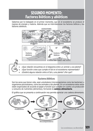 SEGUNDO MOMENTO: 
Factores bióticos y abióticos 
Sabemos por lo trabajado en el primer momento, que en el ecosistema se produce el 
ingreso de energía y materia. Además que se interrelacionan los factores bióticos y los 
factores abióticos. 
ECOSISTEMA 
BIOTOPO BIOCENOSIS 
Factores 
abióticos 
Factores 
bióticos 
● ¿Que relación encuentras en el diagrama entre un animal y una planta? 
● ¿Que función crees que cumple el Sol en el ecosistema representado? 
● ¿Existirá alguna relación entre el Sol y una planta? ¿Por qué? 
Los ecosistemas y su diversidad 109 
Factores bióticos 
Son los seres que tienen vida, sean unicelulares (microorganismos como las bacterias) u 
organismos pluricelulares, como los animales o las plantas. En un ecosistema estos seres 
están organizados de acuerdo al papel o función que cumplen en cuanto a la producción 
y consumo de nutrientes (alimentos), formando la cadena alimentaria. 
El gráfico que se presenta a continuación nos permite apreciar una cadena alimentaria. 
Productores Consumidores de 1er orden Consumidores de 2do orden 
Descomponedores 
 