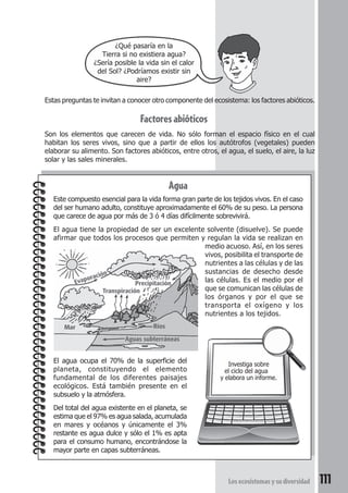 Los ecosistemas y su diversidad 111 
¿Qué pasaría en la 
Tierra si no existiera agua? 
¿Sería posible la vida sin el calor 
del Sol? ¿Podríamos existir sin 
aire? 
Estas preguntas te invitan a conocer otro componente del ecosistema: los factores abióticos. 
Factores abióticos 
Son los elementos que carecen de vida. No sólo forman el espacio físico en el cual 
habitan los seres vivos, sino que a partir de ellos los autótrofos (vegetales) pueden 
elaborar su alimento. Son factores abióticos, entre otros, el agua, el suelo, el aire, la luz 
solar y las sales minerales. 
Agua 
Este compuesto esencial para la vida forma gran parte de los tejidos vivos. En el caso 
del ser humano adulto, constituye aproximadamente el 60% de su peso. La persona 
que carece de agua por más de 3 ó 4 días difícilmente sobrevivirá. 
El agua tiene la propiedad de ser un excelente solvente (disuelve). Se puede 
afirmar que todos los procesos que permiten y regulan la vida se realizan en 
medio acuoso. Así, en los seres 
vivos, posibilita el transporte de 
nutrientes a las células y de las 
sustancias de desecho desde 
las células. Es el medio por el 
que se comunican las células de 
los órganos y por el que se 
transporta el oxígeno y los 
nutrientes a los tejidos. 
Precipitación 
El agua ocupa el 70% de la superficie del 
planeta, constituyendo el elemento 
fundamental de los diferentes paisajes 
ecológicos. Está también presente en el 
subsuelo y la atmósfera. 
Del total del agua existente en el planeta, se 
estima que el 97% es agua salada, acumulada 
en mares y océanos y únicamente el 3% 
restante es agua dulce y sólo el 1% es apta 
para el consumo humano, encontrándose la 
mayor parte en capas subterráneas. 
Investiga sobre 
el ciclo del agua 
y elabora un informe. 
Mar 
Aguas subterráneas 
Evaporación 
Transpiración 
Ríos 
 