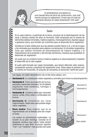 112 Los ecosistemas y su diversidad 
Si sembráramos una planta en 
una maceta llena de tierra de construcción, ¿por qué 
moriría aunque la regáramos? ¿Crees que el suelo es 
elemento decisivo en estas situaciones? ¿Por qué? 
Suelo 
Es la capa externa y superficial de la tierra, proviene de la desintegración de las 
rocas y demora cientos de años en formarse. Está compuesto por la mezcla de 
elementos sólidos (minerales, materia orgánica, microorganismos), líquidos (agua) 
y gaseosos (aire), que brindan los nutrientes para el desarrollo de la vegetación. 
Constituye la base sólida para que las plantas puedan fijarse a él, y les da el agua 
y los minerales que necesitan para elaborar sus alimentos. En él existen organismos 
vivos que realizan funciones de descomposición de materia orgánica y el 
mejoramiento de la aireación y del drenaje (lombrices, insectos) que posibilitan el 
desarrollo de vegetación. 
Un suelo que no contiene humus (materia orgánica en descomposición) impedirá 
el desarrollo de la vida vegetal. 
El suelo está formado por capas horizontales, que tienen diferente color, textura, 
composición química y presencia de organismos vivos. Estas capas se conocen con 
el nombre de horizontes. El conjunto de horizontes se denomina “perfil del suelo”. 
Las capas, en orden descendente (de arriba hacia abajo), son: 
● Horizonte O: Lo constituyen restos vegetales y animales que inician su descomposición. 
● Horizonte A: Tiene acumulación de humus, 
asociada a partículas minerales. En él habitan 
organismos vivos (lombrices, hormigas y 
microorganismos) 
● Horizonte B: Contiene partículas minerales 
(arena, arcilla, limo) solas o combinadas con 
humus. 
● Horizonte C: Constituido por rocas 
fragmentadas. Hasta esta capa pueden llegar 
raíces vegetales. 
● Roca madre: Roca original, que se va 
fragmentando con el tiempo para dar origen 
al suelo. 
Los suelos no permanecen inalterables. La 
erosión es su peor enemigo. Consiste en el 
desgaste continuo que sufren hasta perder 
totalmente la capa fértil. Erosionar significa 
“roer”. Los “roedores” más grandes del suelo 
  
Horizonte O 
Horizonte A 
Horizonte B 
 
Horizonte C 
Roca madre 
 