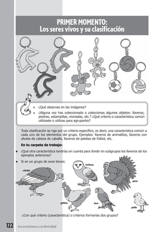 122 Los ecosistemas y su diversidad 
PRIMER MOMENTO: 
Los seres vivos y su clasificación 
● ¿Qué observas en las imágenes? 
● ¿Alguna vez has coleccionado o coleccionas algunos objetos: llaveros, 
piedras, estampillas, monedas, etc.? ¿Qué criterio o característica común 
utilizaste o utilizas para agruparlos? 
Toda clasificación se rige por un criterio específico, es decir, una característica común a 
cada uno de los elementos del grupo. Ejemplos: llaveros de animalitos, llaveros con 
silueta de cabeza de caballo, llaveros de pelotas de fútbol, etc. 
En tu carpeta de trabajo: 
◆ ¿Qué otra característica tendrías en cuenta para dividir en subgrupos los llaveros de los 
ejemplos anteriores? 
◆ Si en un grupo de aves tienes: 
gallina 
lechuza 
¿Con qué criterio (característica) o criterios formarías dos grupos? 
pavo 
cóndor 
pollo 
loro 
 