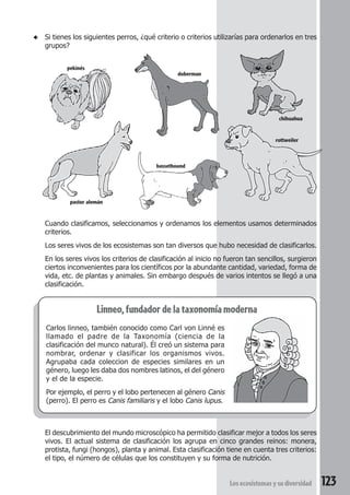 ◆ Si tienes los siguientes perros, ¿qué criterio o criterios utilizarías para ordenarlos en tres 
pekinés 
doberman 
chihuahua 
pastor alemán 
bassethound 
rottweiler 
Cuando clasificamos, seleccionamos y ordenamos los elementos usamos determinados 
criterios. 
Los seres vivos de los ecosistemas son tan diversos que hubo necesidad de clasificarlos. 
En los seres vivos los criterios de clasificación al inicio no fueron tan sencillos, surgieron 
ciertos inconvenientes para los científicos por la abundante cantidad, variedad, forma de 
vida, etc. de plantas y animales. Sin embargo después de varios intentos se llegó a una 
clasificación. 
Los ecosistemas y su diversidad 123 
grupos? 
Linneo, fundador de la taxonomía moderna 
Carlos linneo, también conocido como Carl von Linné es 
llamado el padre de la Taxonomía (ciencia de la 
clasificación del munco natural). Él creó un sistema para 
nombrar, ordenar y clasificar los organismos vivos. 
Agrupaba cada coleccion de especies similares en un 
género, luego les daba dos nombres latinos, el del género 
y el de la especie. 
Por ejemplo, el perro y el lobo pertenecen al género Canis 
(perro). El perro es Canis familiaris y el lobo Canis lupus. 
El descubrimiento del mundo microscópico ha permitido clasificar mejor a todos los seres 
vivos. El actual sistema de clasificación los agrupa en cinco grandes reinos: monera, 
protista, fungi (hongos), planta y animal. Esta clasificación tiene en cuenta tres criterios: 
el tipo, el número de células que los constituyen y su forma de nutrición. 
 
