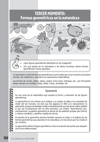 130 Los ecosistemas y su diversidad 
TERCER MOMENTO: 
Formas geométricas en la naturaleza 
● ¿Qué figuras geométricas identificas en las imágenes? 
● ¿En qué partes de la naturaleza o de obras humanas ubicas formas 
geométricas? Indica ejemplos. 
La naturaleza inventó las formas geométricas mucho antes que el ser humano les pusiera 
nombre, las clasificara y calculara sus expresiones matemáticas. 
Las formas de círculo, esfera, elipse, espiral, línea recta, triángulo, etc., son frecuentes 
desde siempre en semillas, hojas, tallos, frutos, animales, etc. 
Geometría 
Es una rama de la matemática que estudia la forma y extensión de las figuras 
geométricas. 
La geometría es una ciencia muy antigua y su origen se debe a la necesidad de 
medir del ser humano. Se dice que los egipcios (3 000 a.C.) descubrieron la 
geometría, porque necesitaban medir constantemente sus tierras de cultivo debido 
a que las inundaciones del río Nilo borraban sus límites. Recordemos que, 
precisamente, la palabra geometría se deriva de las palabras griegas geo (tierra) 
y metron (medida) y significa medida de tierras. 
El estudio de la geometría permite también apreciar el orden y la belleza de las 
formas geométricas que abundan en la naturaleza y en las obras que ha creado el 
ser humano. 
La geometría define la figura geométrica como el conjunto de puntos que adoptan 
una forma determinada. 
 