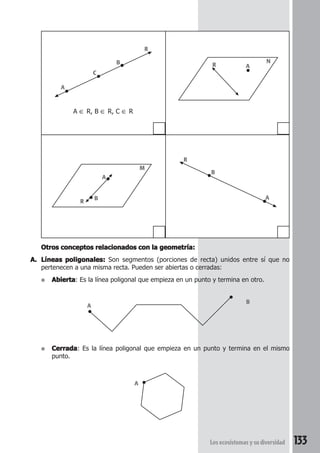 Los ecosistemas y su diversidad 133 
Otros conceptos relacionados con la geometría: 
A. Líneas poligonales: Son segmentos (porciones de recta) unidos entre sí que no 
pertenecen a una misma recta. Pueden ser abiertas o cerradas: 
● Abierta: Es la línea poligonal que empieza en un punto y termina en otro. 
● Cerrada: Es la línea poligonal que empieza en un punto y termina en el mismo 
punto. 
A 
B 
A 
A 
R 
C 
B 
A ∈ R, B ∈ R, C ∈ R 
R A 
N 
A 
B 
M 
R 
A 
R 
B 
 
