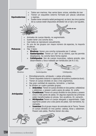 ● Todos son marinos. Hay varios tipos: erizos, estrellas de mar 
Equinodermos 
● Tienen un esqueleto externo formado por placas calcáreas 
y espinas. 
● Suelen tener simetría radial pentagonal, es decir, las cinco partes 
de su cuerpo están dispuestas alrededor de un eje y son iguales. 
 
● Animales de cuerpo blando, no segmentado. 
● Suelen tener una concha dura. 
● Casi todos se reproducen sexualmente. 
● Es uno de los grupos con mayor número de especies, la mayoría 
acuáticas. 
 
Moluscos ● Hay 3 tipos: 
■ Bivalvos: tienen una concha compuesta por 2 valvas. 
■ Gasterópodos: Tienen un “pie” en su vientre, que les permite 
desplazarse. Su concha tiene forma espiral. 
■ Cefalópodos: Son de cuerpo musculoso, cabeza grande, ojos 
desarrollados y boca rodeada por tentáculos (de 8 a 10). 
Bivalvos Gasterópodos Cefalópodos 
● Etimológicamente, artrópodo = patas articuladas. 
● Tienen esqueleto externo o caparazón de quitina (sustancia dura). 
● Tienen el cuerpo dividido en dos o tres segmentos. 
● Hay gran cantidad de especies, terrestres y marinas. 
● Se dividen en cuatro grandes grupos: 
■ Arácnidos: Tienen el cuerpo dividido en dos partes: cefalotórax 
y abdomen, y poseen cuatro pares de patas. Ej: araña. 
Artrópodos 
■ Crustáceos: Tienen el cuerpo dividido en dos partes y poseen 
cinco o más pares de patas. En algunas especies las primeras 
están transformadas en pinzas. Son acuáticos. Ej: camarón. 
■ Miriápodos:Tienen el cuerpo alargado y segmentado. Cada 
segmento posee uno o dos pares de patas. Son terrestres. Ej: 
ciempiés. 
■ Insectos: Es el grupo mayor de animales de la Tierra. Tienen 
el cuerpo dividido en tres partes: cabeza, tórax y abdomen. 
Poseen seis patas. Muchos tienen dos alas. 
 
138 Los ecosistemas y su diversidad 
ciempiés 
araña camarón 
estrella de mar 
erizo 
calamar 
caracol 
choro 
 