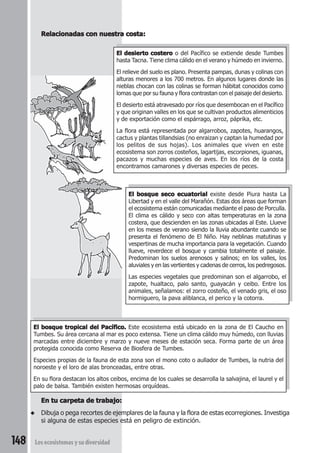 Relacionadas con nuestra costa: 
El desierto costero o del Pacífico se extiende desde Tumbes 
hasta Tacna. Tiene clima cálido en el verano y húmedo en invierno. 
El relieve del suelo es plano. Presenta pampas, dunas y colinas con 
alturas menores a los 700 metros. En algunos lugares donde las 
nieblas chocan con las colinas se forman hábitat conocidos como 
lomas que por su fauna y flora contrastan con el paisaje del desierto. 
El desierto está atravesado por ríos que desembocan en el Pacífico 
y que originan valles en los que se cultivan productos alimenticios 
y de exportación como el espárrago, arroz, páprika, etc. 
La flora está representada por algarrobos, zapotes, huarangos, 
cactus y plantas tillandsias (no enraizan y captan la humedad por 
los pelitos de sus hojas). Los animales que viven en este 
ecosistema son zorros costeños, lagartijas, escorpiones, iguanas, 
pacazos y muchas especies de aves. En los ríos de la costa 
encontramos camarones y diversas especies de peces. 
El bosque tropical del Pacífico. Este ecosistema está ubicado en la zona de El Caucho en 
Tumbes. Su área cercana al mar es poco extensa. Tiene un clima cálido muy húmedo, con lluvias 
marcadas entre diciembre y marzo y nueve meses de estación seca. Forma parte de un área 
protegida conocida como Reserva de Biosfera de Tumbes. 
Especies propias de la fauna de esta zona son el mono coto o aullador de Tumbes, la nutria del 
noroeste y el loro de alas bronceadas, entre otras. 
En su flora destacan los altos ceibos, encima de los cuales se desarrolla la salvajina, el laurel y el 
palo de balsa. También existen hermosas orquídeas. 
En tu carpeta de trabajo: 
◆ Dibuja o pega recortes de ejemplares de la fauna y la flora de estas ecorregiones. Investiga 
si alguna de estas especies está en peligro de extinción. 
148 Los ecosistemas y su diversidad 
El bosque seco ecuatorial existe desde Piura hasta La 
Libertad y en el valle del Marañón. Estas dos áreas que forman 
el ecosistema están comunicadas mediante el paso de Porculla. 
El clima es cálido y seco con altas temperaturas en la zona 
costera, que descienden en las zonas ubicadas al Este. Llueve 
en los meses de verano siendo la lluvia abundante cuando se 
presenta el fenómeno de El Niño. Hay neblinas matutinas y 
vespertinas de mucha importancia para la vegetación. Cuando 
llueve, reverdece el bosque y cambia totalmente el paisaje. 
Predominan los suelos arenosos y salinos; en los valles, los 
aluviales y en las vertientes y cadenas de cerros, los pedregosos. 
Las especies vegetales que predominan son el algarrobo, el 
zapote, hualtaco, palo santo, guayacán y ceibo. Entre los 
animales, señalamos: el zorro costeño, el venado gris, el oso 
hormiguero, la pava aliblanca, el perico y la cotorra. 
 