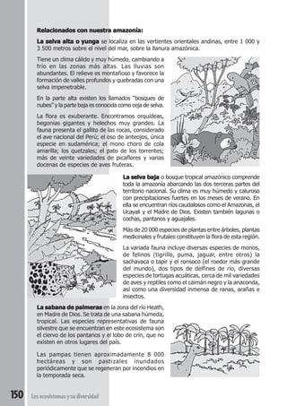 Relacionados con nuestra amazonía: 
La selva alta o yunga se localiza en las vertientes orientales andinas, entre 1 000 y 
3 500 metros sobre el nivel del mar, sobre la llanura amazónica. 
Tiene un clima cálido y muy húmedo, cambiando a 
frío en las zonas más altas. Las lluvias son 
abundantes. El relieve es montañoso y favorece la 
formación de valles profundos y quebradas con una 
selva impenetrable. 
En la parte alta existen los llamados “bosques de 
nubes” y la parte baja es conocida como ceja de selva. 
La flora es exuberante. Encontramos orquídeas, 
begonias gigantes y helechos muy grandes. La 
fauna presenta el gallito de las rocas, considerado 
el ave nacional del Perú; el oso de anteojos, única 
especie en sudamérica; el mono choro de cola 
amarilla; los quetzales; el pato de los torrentes; 
más de veinte variedades de picaflores y varias 
docenas de especies de aves fruteras. 
150 Los ecosistemas y su diversidad 
La selva baja o bosque tropical amazónico comprende 
toda la amazonía abarcando las dos terceras partes del 
territorio nacional. Su clima es muy húmedo y caluroso 
con precipitaciones fuertes en los meses de verano. En 
ella se encuentran ríos caudalosos como el Amazonas, el 
Ucayali y el Madre de Dios. Existen también lagunas o 
cochas, pantanos y aguajales. 
Más de 20 000 especies de plantas entre árboles, plantas 
medicinales y frutales constituyen la flora de esta región. 
La variada fauna incluye diversas especies de monos, 
de felinos (tigrillo, puma, jaguar, entre otros) la 
sachavaca o tapir y el ronsoco (el roedor más grande 
del mundo), dos tipos de delfines de río, diversas 
especies de tortugas acuáticas, cerca de mil variedades 
de aves y reptiles como el caimán negro y la anaconda, 
así como una diversidad inmensa de ranas, arañas e 
insectos. 
La sabana de palmeras en la zona del río Heath, 
en Madre de Dios. Se trata de una sabana húmeda, 
tropical. Las especies representativas de fauna 
silvestre que se encuentran en este ecosistema son 
el ciervo de los pantanos y el lobo de crin, que no 
existen en otros lugares del país. 
Las pampas tienen aproximadamente 8 000 
hectáreas y son pastizales inundados 
periódicamente que se regeneran por incendios en 
la temporada seca. 
 