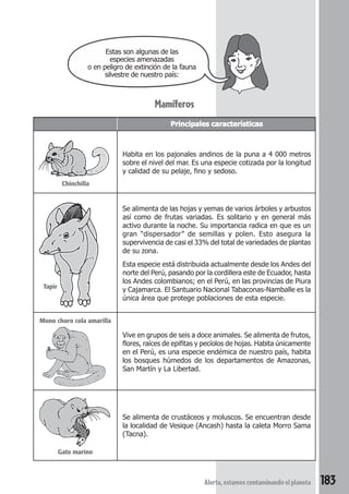 Estas son algunas de las 
especies amenazadas 
o en peligro de extinción de la fauna 
silvestre de nuestro país: 
Principales características 
Habita en los pajonales andinos de la puna a 4 000 metros 
sobre el nivel del mar. Es una especie cotizada por la longitud 
y calidad de su pelaje, fino y sedoso. 
Se alimenta de las hojas y yemas de varios árboles y arbustos 
así como de frutas variadas. Es solitario y en general más 
activo durante la noche. Su importancia radica en que es un 
gran “dispersador” de semillas y polen. Esto asegura la 
supervivencia de casi el 33% del total de variedades de plantas 
de su zona. 
Esta especie está distribuida actualmente desde los Andes del 
norte del Perú, pasando por la cordillera este de Ecuador, hasta 
los Andes colombianos; en el Perú, en las provincias de Piura 
y Cajamarca. El Santuario Nacional Tabaconas-Namballe es la 
única área que protege poblaciones de esta especie. 
Vive en grupos de seis a doce animales. Se alimenta de frutos, 
flores, raíces de epifitas y pecíolos de hojas. Habita únicamente 
en el Perú, es una especie endémica de nuestro país, habita 
los bosques húmedos de los departamentos de Amazonas, 
San Martín y La Libertad. 
Se alimenta de crustáceos y moluscos. Se encuentran desde 
la localidad de Vesique (Ancash) hasta la caleta Morro Sama 
(Tacna). 
Alerta, estamos contaminando el planeta 183 
Mamíferos 
Chinchilla 
Tapir 
Mono choro cola amarilla 
Gato marino 
 