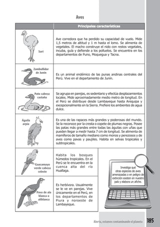 Aves 
Principales características 
Ave corredora que ha perdido su capacidad de vuelo. Mide 
1,5 metros de altitud y 1 m hasta el lomo. Se alimenta de 
vegetales. El macho construye el nido con restos vegetales, 
incuba, guía y defiende a los polluelos. Se encuentra en los 
departamentos de Puno, Moquegua y Tacna. 
Es un animal endémico de las punas andinas centrales del 
Perú. Vive en el departamento de Junín. 
Se agrupa en parejas, es sedentario y efectúa desplazamientos 
locales. Mide aproximadamente medio metro de longitud. En 
el Perú se distribuye desde Lambayeque hasta Arequipa y 
excepcionalmente en la Sierra. Prefiere los ambientes de agua 
dulce. 
Es una de las rapaces más grandes y poderosas del mundo. 
Se la reconoce por la cresta o copete de plumas negras. Posee 
las patas más grandes entre todas las águilas con uñas que 
pueden llegar a medir hasta 7 cm de longitud. Se alimenta de 
mamíferos de tamaño mediano como monos y perezosos y de 
aves como pavas y paujiles. Habita en selvas tropicales y 
subtropicales. 
Alerta, estamos contaminando el planeta 185 
Habita los bosques 
húmedos tropicales. En el 
Perú se le encuentra en la 
cuenca alta del río 
Huallaga. 
Es herbívora. Usualmente 
se le ve en parejas. Vive 
únicamente en el Perú, en 
los departamentos de 
Piura y noroeste de 
Lambayeque. 
Investiga qué 
otras especies de aves 
amenazadas o en peligro de 
extinción existen en nuestro 
país y elabora un afiche. 
Suri 
Zambullidor 
de Junín 
Pato cabeza 
castaña 
Águila 
arpía 
Guacamayo 
verde cabeza 
celeste 
Pava de ala 
blanca o 
aliblanca 
 