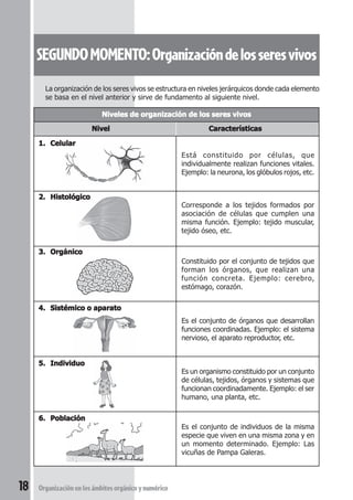 SEGUNDO MOMENTO: Organización de los seres vivos 
La organización de los seres vivos se estructura en niveles jerárquicos donde cada elemento 
se basa en el nivel anterior y sirve de fundamento al siguiente nivel. 
Niveles de organización de los seres vivos 
Nivel Características 
1. Celular 
18 Organización en los ámbitos orgánico y numérico 
Está constituido por células, que 
individualmente realizan funciones vitales. 
Ejemplo: la neurona, los glóbulos rojos, etc. 
2. Histológico 
Corresponde a los tejidos formados por 
asociación de células que cumplen una 
misma función. Ejemplo: tejido muscular, 
tejido óseo, etc. 
3. Orgánico 
Constituido por el conjunto de tejidos que 
forman los órganos, que realizan una 
función concreta. Ejemplo: cerebro, 
estómago, corazón. 
4. Sistémico o aparato 
Es el conjunto de órganos que desarrollan 
funciones coordinadas. Ejemplo: el sistema 
nervioso, el aparato reproductor, etc. 
5. Individuo 
Es un organismo constituido por un conjunto 
de células, tejidos, órganos y sistemas que 
funcionan coordinadamente. Ejemplo: el ser 
humano, una planta, etc. 
6. Población 
Es el conjunto de individuos de la misma 
especie que viven en una misma zona y en 
un momento determinado. Ejemplo: Las 
vicuñas de Pampa Galeras. 
 