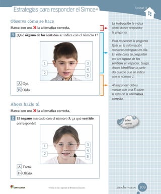 Unidad 3
Estrategias	para	responder	el	Simce
MR
	Simce	es	marca	registrada	del	Ministerio	de	Educación.
MR
Observa cómo se hace
Marca con una la alternativa correcta.
2 El órgano marcado con el número 5, ¿a qué sentido
corresponde?
A Tacto.
B Olfato.
Ahora hazlo tú
Marca con una la alternativa correcta.
1 ¿Qué órgano de los sentidos se indica con el número 1?
A Ojo.
B Oído.
Al responder debes
marcar con una X sobre
la letra de la alternativa
correcta.
Para responder la pregunta
fíjate en la información
relevante entregada en ella.
En este caso, te preguntan
por un órgano de los
sentidos en especial. Luego,
debes identificar la parte
del cuerpo que se indica
con el número 1.
La instrucción te indica
cómo debes responder
la pregunta.
3
4
5
1
2
3
4
5
1
2
109
_ciento nueve
 