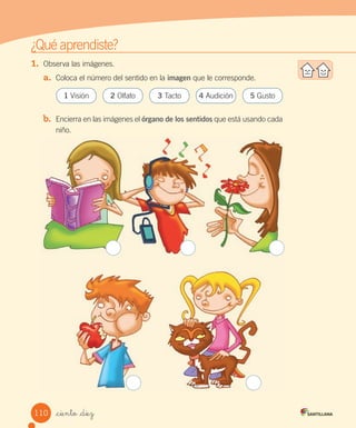 ¿Qué	aprendiste?
1.	 Observa	las	imágenes.
a.	 Coloca	el	número	del	sentido	en	la	imagen	que	le	corresponde.
b.	 Encierra	en	las	imágenes	el	órgano de los sentidos	que	está	usando	cada	
niño.
2	Olfato
1	Visión 3	Tacto 4	Audición 5	Gusto
110 _ciento _diez
 