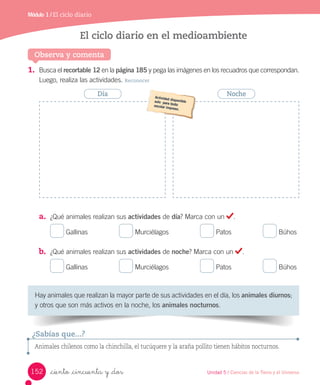 Módulo 1 / El ciclo diario
1. Busca	el	recortable 12	en	la	página 185	y	pega	las	imágenes	en	los	recuadros	que	correspondan.
Luego,	realiza	las	actividades.	Reconocer
a. ¿Qué	animales	realizan	sus	actividades	de	día?	Marca	con	un	 .
	
Gallinas
	
Murciélagos
	
Patos
	
Búhos
b. ¿Qué	animales	realizan	sus	actividades	de	noche?	Marca	con	un	 .
	
Gallinas
	
Murciélagos
	
Patos
	
Búhos
El ciclo diario en el medioambiente
Observa y comenta
Hay	animales	que	realizan	la	mayor	parte	de	sus	actividades	en	el	día,	los	animales diurnos;	
y	otros	que	son	más	activos	en	la	noche,	los	animales nocturnos.
Animales chilenos como la chinchilla, el tucúquere y la araña pollito tienen hábitos nocturnos.
¿Sabías que...?
Noche
Día
152 Unidad 5 / Ciencias de la Tierra y el Universo
_ciento _cincuenta y _dos
 