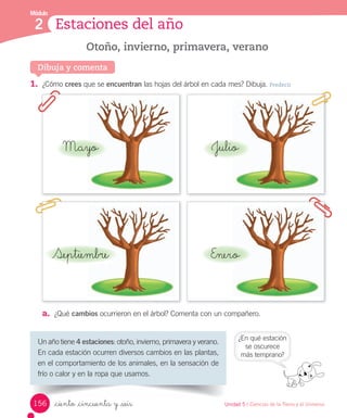 Estaciones del año
Módulo
2
1.	 ¿Cómo	crees	que	se	encuentran	las	hojas	del	árbol	en	cada	mes?	Dibuja.	Predecir
a.	 ¿Qué	cambios	ocurrieron	en	el	árbol?	Comenta	con	un	compañero.
Otoño, invierno, primavera, verano
Dibuja y comenta
Un	año	tiene	4 estaciones:	otoño,	invierno,	primavera	y	verano.	
En	cada	estación	ocurren	diversos	cambios	en	las	plantas,	
en	el	comportamiento	de	los	animales,	en	la	sensación	de	
frío	o	calor	y	en	la	ropa	que	usamos.	
¿En	qué	estación
se	oscurece
más	temprano?
Mayo
Septiembre
Julio
Enero
Septiembre
Septiembre
Mayo
Mayo
Enero
Julio
Julio
156 Unidad 5 / Ciencias de la Tierra y el Universo
_ciento _cincuenta y _seis
 