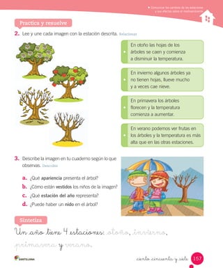 Comunicar los cambios de las estaciones
y sus efectos sobre el medioambiente
Practica y resuelve
2.	 Lee	y	une	cada	imagen	con	la	estación	descrita.	Relacionar
3.	 Describe	la	imagen	en	tu	cuaderno	según	lo	que	
observas.	Describir
a.	 ¿Qué	apariencia	presenta	el	árbol?
b.	 ¿Cómo	están	vestidos	los	niños	de	la	imagen?
c.	 ¿Qué	estación del año	representa?
d.	 ¿Puede	haber	un	nido	en	el	árbol?
En	otoño	las	hojas	de	los
árboles	se	caen	y	comienza
a	disminuir	la	temperatura.
En	invierno	algunos	árboles	ya	
no	tienen	hojas,	llueve	mucho
y	a	veces	cae	nieve.
En	primavera	los	árboles	
florecen	y	la	temperatura	
comienza	a	aumentar.
En	verano	podemos	ver	frutas	en
los	árboles	y	la	temperatura	es	más
alta	que	en	las	otras	estaciones.
Sintetiza
Un _año _tiene 4 _estaciones: _otoño, _invierno,
_primavera y verano.
157
_ciento _cincuenta y _siete
 