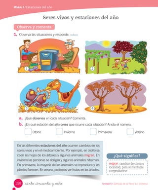 Módulo 2 / Estaciones del año
1.	 Observa	las	situaciones	y	responde.	Inferir
a.	 ¿Qué	observas	en	cada	situación?	Comenta.
b.	 ¿En	qué	estación	del	año	crees	que	ocurre	cada	situación?	Anota	el	número.
	
Otoño																
	
Invierno																
	
Primavera																
	
Verano
Seres vivos y estaciones del año
Observa y comenta
En	las	diferentes	estaciones del año	ocurren	cambios	en	los	
seres	vivos	y	en	el	medioambiente.	Por	ejemplo,	en	otoño	se	
caen	las	hojas	de	los	árboles	y	algunos	animales	migran.	En	
invierno	las	personas	se	abrigan	y	algunos	animales	hibernan.	
En	primavera,	la	mayoría	de	los	animales	se	reproduce	y	las	
plantas	florecen.	En	verano,	podemos	ver	frutas	en	los	árboles.
migrar: cambiar de clima o
localidad, para alimentarse
o reproducirse.
¿Qué significa?
1
3
2
4
158 Unidad 5 / Ciencias de la Tierra y el Universo
_ciento _cincuenta y _ocho
 