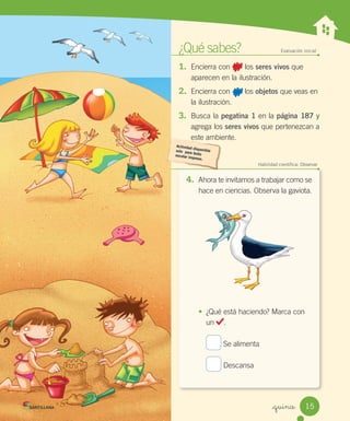¿Qué	sabes? Evaluación inicial
1. Encierra	con							los	seres vivos	que	
aparecen	en	la	ilustración.
2. Encierra	con							los	objetos	que	veas	en	
la	ilustración.
3. Busca	la	pegatina 1	en	la	página 187	y
agrega	los	seres vivos	que	pertenezcan	a
este	ambiente.
_quince
Habilidad científica: Observar
4. Ahora	te	invitamos	a	trabajar	como	se
hace	en	ciencias.	Observa	la	gaviota.
• ¿Qué	está	haciendo?	Marca	con
un	 .
	Se	alimenta
	Descansa
15
 