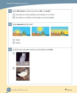 Evaluación integradora tipo Simce MR
11	 ¿Qué diferencias se observan entre el día y la noche?
A En el día se ven las estrellas y en la noche se ve el Sol.
B En el día se ve el Sol y en la noche se ven las estrellas.
12	 ¿Qué momento del día falta?
A Tarde.
B Noche.
13	 ¿Cuál de estos animales realiza sus actividades en el día?
A
B
_ciento _setenta y _dos
172
 