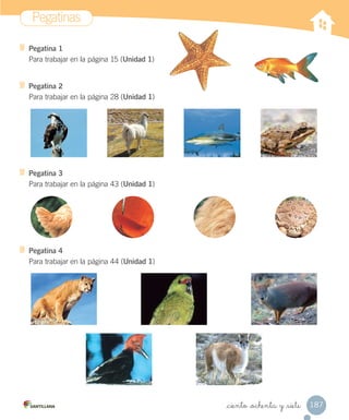 Pegatinas
187
_ciento _ochenta y _siete
Pegatina 1
Para trabajar en la página 15 (Unidad 1)
Pegatina 2
Para trabajar en la página 28 (Unidad 1)
Pegatina 3
Para trabajar en la página 43 (Unidad 1)
Pegatina 4
Para trabajar en la página 44 (Unidad 1)
 