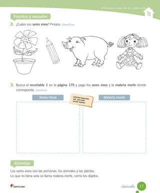 Diferenciar los seres vivos de la materia inerte
Practica y resuelve
2. ¿Cuáles	son	seres vivos?	Píntalos.	Identificar
Los	seres	vivos	son	las	personas,	los	animales	y	las	plantas.
Lo	que	no	tiene	vida	se	llama	materia	inerte,	como	los	objetos.
Sintetiza
Seres vivos Materia inerte
3. Busca	el	recortable 1	en	la	página 175	y	pega	los	seres vivos	y	la	materia inerte	donde
corresponda.	Clasificar
17
_diecisiete
 