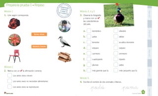 Pega
aquí
Pega
aquí
Pega
aquí
Pega
aquí
Pega
aquí
Módulo 3, 4 y 5
3.	 Observa la fotografía
y marca con un
las características
del pato.
doméstico silvestre
patas aletas
terrestre acuático-terrestre
vivíparo ovíparo
carnívoro omnívoro
cuadrúpedo bípedo
plumas pelos
más grande que tú más pequeño que tú
Módulo 6
4.	 Escribe el nombre de dos animales chilenos.
_pudú _puma
Módulo 1
1.	 Une según corresponda.
Módulo 2
2.	 Marca con un la afirmación correcta.
Los seres vivos crecen.
Los seres vivos no necesitan alimentarse.
Los seres vivos se reproducen.
Seres vivos
Materia inerte
a.	
b.	
c.	
d.	
e.	
f.	
g.	
h.	
Prepara la prueba 1 • Repaso Desprende,		
responde		
y	pega	en		
tu	cuaderno
Casa del Saber
 