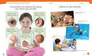 Hábitos de vida saludable
Prepara la prueba 3 • Síntesis
Los sentidos y los órganos del cuerpo
que utilizas para percibir
Nombre: Curso:
Casa del Saber
Sentido: visión.
Órgano del cuerpo:
ojo.
Sentido: olfato.
Órgano del cuerpo:
nariz.
Sentido: gusto.
Órgano del cuerpo:
lengua.
Sentido: audición.
Órgano del cuerpo:
oído.
Sentido: tacto.
Órgano del cuerpo:
piel.
Tener una alimentación saludable,
balanceada y variada.
Mantener la higiene personal.
Realizar actividad física mínimo
una hora diaria.
 