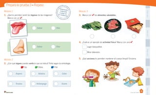 Pega
aquí
Pega
aquí
Pega
aquí
Pega
aquí
Pega
aquí
Módulo 3
3.	 Marca con los alimentos saludables.
4.	 ¿Cuál es un ejemplo de actividad física? Marca con una .
Jugar básquetbol.
Mirar televisión.
5.	 ¿Qué acciones te permiten mantener el cuerpo limpio? Encierra.
Módulo 1
1.	 ¿Qué te permiten sentir los órganos de las imágenes?
Marca con un .
Módulo 2
2.	 ¿Con qué órgano puedes sentir lo que se indica? Pinta según la simbología.
Ojo Oídos Piel
Prepara la prueba 3 • Repaso
Desprende,		
responde		
y	pega	en		
tu	cuaderno
Casa del Saber
Áspero
Sabor
Sabor
Olor
Olor
Trueno
Música
Relámpago
Color
Suave
Marca con un .
 