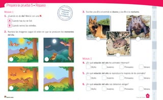 Pega
aquí
Pega
aquí
Pega
aquí
Pega
aquí
Pega
aquí
3.	 Escribe una D si el animal es diurno y una N si es nocturno.
Módulo 2
4.	 ¿En qué estación del año los animales hibernan?
Otoño Invierno Primavera Verano
5.	 ¿En qué estación del año se reproduce la mayoría de los animales?
Otoño Invierno Primavera Verano
6.	 ¿En qué estación del año nos debemos abrigar?
Otoño Invierno Primavera Verano
Módulo 1
1.	 ¿Cuándo es de día? Marca con una .
A Cuando hay luz de Sol.
B Cuando vemos las estrellas.
2.	 Numera las imágenes según el orden en que se producen los momentos
del día.
Prepara la prueba 5 • Repaso
Desprende,		
responde		
y	pega	en		
tu	cuaderno
Casa del Saber
 