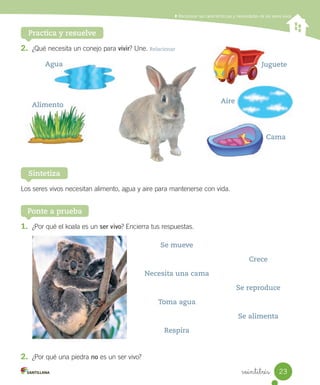 Reconocer las características y necesidades de los seres vivos
Practica y resuelve
2.	 ¿Qué	necesita	un	conejo	para	vivir?	Une.	Relacionar
Ponte a prueba
1.	 ¿Por	qué	el	koala	es	un	ser vivo?	Encierra	tus	respuestas.
2.	 ¿Por	qué	una	piedra	no	es	un	ser	vivo?
Se mueve
Crece
Necesita una cama
Se reproduce
Toma agua
Se alimenta
Respira
Los	seres	vivos	necesitan	alimento,	agua	y	aire	para	mantenerse	con	vida.
Sintetiza
Agua Juguete
Aire
Cama
Alimento
23
veintitrés
 