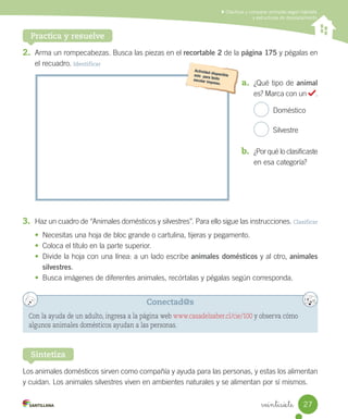Clasificar y comparar animales según hábitats
y estructuras de desplazamiento
Practica y resuelve
2. Arma	un	rompecabezas.	Busca	las	piezas	en	el	recortable 2	de	la	página 175	y	pégalas	en
el	recuadro.	Identificar
3. Haz	un	cuadro	de	“Animales	domésticos	y	silvestres”.	Para	ello	sigue	las	instrucciones.	Clasificar
• Necesitas	una	hoja	de	bloc	grande	o	cartulina,	tijeras	y	pegamento.
• Coloca	el	título	en	la	parte	superior.
• Divide	la	hoja	con	una	línea:	a	un	lado	escribe	animales domésticos	y	al	otro,	animales
silvestres.
• Busca	imágenes	de	diferentes	animales,	recórtalas	y	pégalas	según	corresponda.
Los	animales	domésticos	sirven	como	compañía	y	ayuda	para	las	personas,	y	estas	los	alimentan	
y	cuidan.	Los	animales	silvestres	viven	en	ambientes	naturales	y	se	alimentan	por	sí	mismos.
Sintetiza
a. ¿Qué	tipo	de	animal
es?	Marca	con	un	 .
		Doméstico
		Silvestre
b. ¿Por	qué	lo	clasificaste
en	esa	categoría?
Conectad@s
Con la ayuda de un adulto, ingresa a la página web www.casadelsaber.cl/cie/100 y observa cómo
algunos animales domésticos ayudan a las personas.
27
veintisiete
 