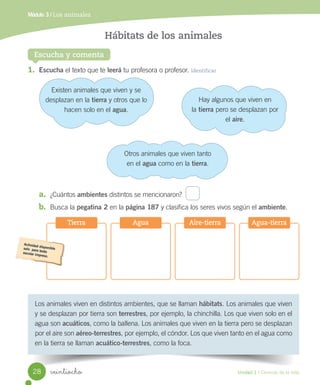 Módulo 3 / Los animales
Escucha y comenta
Hábitats de los animales
Los	animales	viven	en	distintos	ambientes,	que	se	llaman	hábitats.	Los	animales	que	viven	
y	se	desplazan	por	tierra	son	terrestres,	por	ejemplo,	la	chinchilla.	Los	que	viven	solo	en	el	
agua	son	acuáticos,	como	la	ballena.	Los	animales	que	viven	en	la	tierra	pero	se	desplazan	
por	el	aire	son	aéreo-terrestres,	por	ejemplo,	el	cóndor.	Los	que	viven	tanto	en	el	agua	como	
en	la	tierra	se	llaman	acuático-terrestres,	como	la	foca.
1. Escucha	el	texto	que	te	leerá	tu	profesora	o	profesor.	Identificar
a. ¿Cuántos	ambientes	distintos	se	mencionaron?
b. Busca	la	pegatina 2	en	la	página 187	y	clasifica	los	seres	vivos	según	el	ambiente.
Tierra Agua Aire-tierra Agua-tierra
Existen	animales	que	viven	y	se	
desplazan	en	la	tierra	y	otros	que	lo	
hacen	solo	en	el	agua.
Hay	algunos	que	viven	en
la	tierra	pero	se	desplazan	por	
el	aire.
Otros	animales	que	viven	tanto
en	el	agua	como	en	la	tierra.
28 Unidad 1 / Ciencias de la vida
veintiocho
 