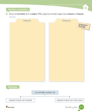 Comparar animales según tipo de reproducción y alimentación
Practica y resuelve
2. Busca	el	recortable 3	en	la	página 175	y	pega	los	animales	según	sean	ovíparos	o	vivíparos.
Clasificar
Los	animales	pueden	ser
ovíparos	(nacen	por	huevos) vivíparos	(nacen	por	crías	vivas)
Ovíparos Vivíparos
Sintetiza
33
_treinta y _tres
 