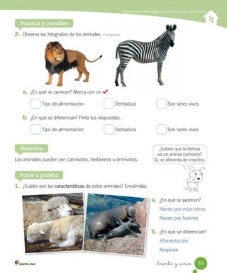 Comparar animales según tipo de reproducción y alimentación
Practica y resuelve
1.	 ¿Cuáles	son	las	características	de	estos	animales?	Enciérralas.
a.	 ¿En	qué	se	parecen?
Nacen por crías vivas
Nacen por huevos
b.	 ¿En	qué	se	diferencian?
Alimentación
Respiran
2.	 Observa	las	fotografías	de	los	animales.	Comparar
a.	 ¿En	qué	se	parecen?	Marca	con	un	 .
	Tipo	de	alimentación															 	Dentadura															 	Son	seres	vivos
b.	 ¿En	qué	se	diferencian?	Pinta	tus	respuestas.
	Tipo	de	alimentación															 	Dentadura															 	Son	seres	vivos
Ponte a prueba
Los	animales	pueden	ser:	carnívoros,	herbívoros	u	omnívoros.
Sintetiza ¿Sabías	que	la	libélula
es	un	animal	carnívoro?
Sí,	se	alimenta	de	insectos.
b.	
35
_treinta y _cinco
 