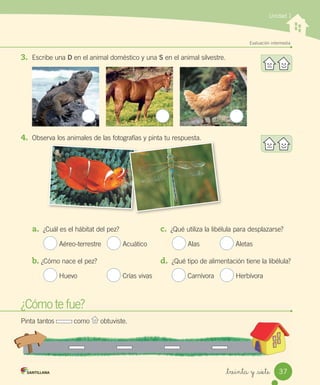 Evaluación intermedia
3.	 Escribe	una	D	en	el	animal	doméstico	y	una	S	en	el	animal	silvestre.
4.	 Observa	los	animales	de	las	fotografías	y	pinta	tu	respuesta.
Unidad 1
fotografías y pinta respuesta.
¿Cómo	te	fue?
a.		¿Cuál	es	el	hábitat	del	pez?	 c.		¿Qué	utiliza	la	libélula	para	desplazarse?
	Aéreo-terrestre			 	Acuático													 	Alas										 	Aletas
b.	¿Cómo	nace	el	pez?	 d.		¿Qué	tipo	de	alimentación	tiene	la	libélula?
	Huevo															 	Crías	vivas										 	Carnívora			 	Herbívora
¿Cómo
¿Cómo te fue?
Pinta	tantos	 	como	 	obtuviste.
37
_treinta y _siete
 