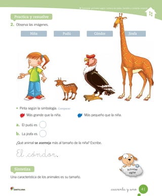 Comparar animales según número de patas, tamaño y cubierta corporal
Practica y resuelve
2. Observa	las	imágenes.
• Pinta	según	la	simbología.	Comparar
							Más	grande	que	la	niña.	 							Más	pequeño	que	la	niña.
a. El	pudú	es
b. La	jirafa	es
¿Qué	animal	se asemeja	más	al	tamaño	de	la	niña?	Escribe.
El _cóndor.
Pudú Cóndor Jirafa
Una	característica	de	los	animales	es	su	tamaño.
Sintetiza
Niña
41
_cuarenta y _uno
 