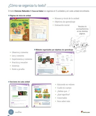 ¿Cómo se organiza tu texto?
El texto Ciencias Naturales 1 Casa del Saber se organiza en 5 unidades y en cada unidad encontrarás:
_cuatro
Nosotros te
acompañaremos
en las distintas
páginas.
w
55
_cincuenta y _cinco
¿Qué sabes?	 Evaluación inicial
1.	 Encierra las plantas que aparecen en la ilustración. ¿Cuántas hay?
2.	 ¿Por qué las plantas son seres vivos? Marca con un tus respuestas.
Necesitan agua Crecen Necesitan dormir
3.	 Pinta los frutos del árbol.
	 Habilidad científica: Observar y experimentar
4.	 ¿Qué necesitan las plantas para crecer? Investiga.
¿Qué necesitas?
Planta pequeña en macetero, agua, lápiz, papel cuadriculado y tijeras.
¿Qué debes hacer?
• Corta una tira de papel cuadriculado.
• Ubica la tira de papel desde la base del tallo hacia arriba.
• Marca en el papel la parte más alta de la planta. ¿Cuántos
cuadrados hay? Píntalos.
• Deja la planta cerca de una ventana durante 7 días. Riégala
cada dos días.
• Toma otra tira de papel y marca la parte más alta de la planta.
¿Cuántos cuadrados hay? Píntalos.
Resultados
Pega en tu cuaderno las
tiras como se muestra
en el dibujo.
a.	 ¿Creció la planta?
b.	 ¿Qué necesitó la
planta para crecer? Medición	1 Medición	2
Busca en el
desplegable de
habilidades qué
significa
experimentar.
54 _cincuenta y _cuatro
Las plantas son seres vivos
En esta unidad aprenderás a:
•	 Identificar	la	estructura	de	las	plantas.
•	 Conocer	las	características	y	necesidades	de	las	plantas.
•	 Clasificar	semillas,	frutos,	flores	y	tallos	utilizando	distintos	criterios.
•	 Comparar	las	plantas	de	nuestro	país.
•	 Experimentar	con	plantas.
•	 Proponer	medidas	para	el	cuidado	de	las	plantas.
Unidad
Las plantas son seres vivos
2
Páginas de inicio de unidad
• Número y título de la unidad
• Objetivos de aprendizaje
• Evaluación inicial
• Educando en valores
• Cuido mi cuerpo
• ¿Sabías que…?
• ¿Qué significa?
• Conectados
• Para saber más
Secciones de cada unidad
Comparar plantas de Chile y proponer medidas para su cuidado
Practica y resuelve
2.	 ¿Qué características tiene un naranjo? Pinta. Describir
3.	 Compara plantas chilenas. Marca con según corresponda. Comparar
Comenta con tus compañeros.
c.		¿En qué se parecen?, ¿en qué se diferencian?
Algunas _plantas _que _crecen _en Chile _son _la _araucaria,
_el _canelo y _el _copihue.
Sintetiza
La planta nacional de Chile es el copihue, una enredadera que puede llegar a medir 4 metros
apoyada en otros árboles, como el largo de un auto.
¿Sabías que...?
Es un árbol
Tiene frutos
Es un arbusto
Tiene semillas
Tiene tallo áspero
Tiene flores
a.
b.
¿Cuál de las plantas es un árbol?
¿Qué planta tiene frutos?
75
setenta y _cinco
Módulo 4 / Plantas de Chile
Observa y comenta
Yo cuido las plantas de mi país
Hay acciones que nos permiten cuidar las plantas de nuestro país; por ejemplo, plantar
árboles, apagar las fogatas o respetar los senderos en los parques naturales.
1.	 ¿Qué acciones permiten el cuidado de las plantas? Marca con un . Identificar
Conectad@s
Con la ayuda de un adulto, ingresa a la página
web www.casadelsaber.cl/cie/101 y conoce las
plantas chilenas que puedes proteger y cuidar.
Al reciclar papel estás
protegiendolavidademuchos
árboles.
Educando en valores
76 Unidad 2 / Ciencias de la vida
setenta y seis
Identificar la estructura de las plantas
4.	 Pinta según la clave. Identificar
: Fruto
: Flor
: Semilla
Las _plantas _pueden _tener _flores, _frutos y _semillas.
Sintetiza
1.	 Coloca en el recuadro el número correspondiente a la parte de la planta.
1 Flor
2 Fruto
3 Hoja
4 Tallo
5 Raíz
6 Semilla
Ponte a prueba
Practica y resuelve
Arvejas
Alcachofa
Coliflor Uva
Lentejas
Manzana
Pera
59
_cincuenta y nueve
Módulo 1 / Las partes de las plantas
Observa y comenta
La mayoría de las plantas presentan:
– flores, que tienen distintas formas, colores y aromas. Las flores dan origen a los frutos;
– frutos, que protegen a las semillas;
– semillas, que originan nuevas plantas.
Algunas de estas partes nos sirven para alimentarnos, por ejemplo: la alcachofa y la coliflor
son flores; la uva y la pera son frutos; y las lentejas y las arvejas son semillas.
1.	 Pinta con las flores y con los frutos. Identificar
2.	 Marca con un la parte de la planta donde crees que se encuentran las semillas. Inferir
Hoja F_ruto Raíz
3.	 Toma una manzana, una pera o una naranja y pídele a tu profesora o profesor que la parta
por la mitad, ¿qué tienen en su interior? Descubrir
Otras partes de las plantas
1
2
3
4
58 Unidad 2 / Ciencias de la vida
_cincuenta y _ocho
Módulos organizados por objetivos de aprendizaje
• Observa y comenta
• Lee y comenta
• Experimenta y comenta
• Practica y resuelve
• Sintetiza
• Ponte a prueba
4
 