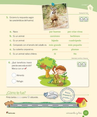 Unidad 1
Evaluación final
5. Encierra	tu	respuesta	según
las	características	del	huemul.
a. Nace: por huevos por crías vivas
b. Es	un	animal: carnívoro herbívoro
c. Es	un	animal: bípedo cuadrúpedo
d. Comparado	con	el	tamaño	del	caballo	es:	 más grande más pequeño
e. Su	cubierta	corporal	es: pelos plumas
f. Es	un	animal	nativo	chileno: Sí No
por huevos por crías vivas
Habilidad científica: Observar
6. ¿Qué	beneficios	traerá
para	las	aves	esta	acción?
Marca	con	un	 .
	Alimento
	Refugio
¿Cómo	te	fue?
¿Cómo
¿Cómo te fue?
Pinta	tantos	 	como	 	obtuviste.
Busca
Prepara	la
prueba	1
53
_cincuenta y _tres
 