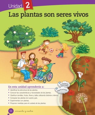 54 _cincuenta y _cuatro
Las plantas son seres vivos
En esta unidad aprenderás a:
• Identificar	la	estructura	de	las	plantas.
• Conocer	las	características	y	necesidades	de	las	plantas.
• Clasificar	semillas,	frutos,	flores	y	tallos	utilizando	distintos	criterios.
• Comparar	las	plantas	de	nuestro	país.
• Experimentar	con	plantas.
• Proponer	medidas	para	el	cuidado	de	las	plantas.
Unidad
Las plantas son seres vivos
2
 