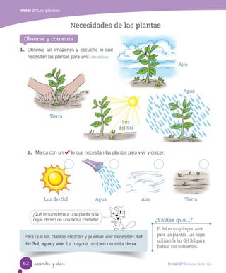 Módulo 2 / Las plantas
Observa y comenta
Necesidades de las plantas
1.	 Observa	las	imágenes	y	escucha	lo	que	
necesitan	las	plantas	para	vivir.	Identificar
a.	 Marca	con	un	 	lo	que	necesitan	las	plantas	para	vivir	y	crecer.
Para	que	las	plantas	crezcan	y	puedan	vivir	necesitan:	luz
del Sol,	agua	y	aire.	La	mayoría	también	necesita	tierra.
El Sol es muy importante
para las plantas. Las hojas
utilizan la luz del Sol para
formar sus nutrientes.
¿Sabías que...?
¿Qué	le	sucedería	a	una	planta	si	la	
dejas	dentro	de	una	bolsa	cerrada?
Luz del Sol
Tierra
Agua Aire Tierra
Luz
del Sol
Agua
Aire
62 Unidad 2 / Ciencias de la vida
sesenta y _dos
 