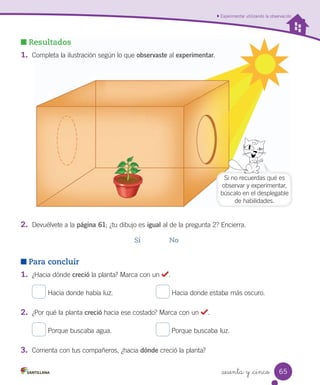 Experimentar utilizando la observación
Resultados
1.	 Completa	la	ilustración	según	lo	que	observaste	al	experimentar.
2.	 Devuélvete	a	la	página 61;	¿tu	dibujo	es	igual	al	de	la	pregunta	2?	Encierra.
Sí															No
Para concluir
1.	 ¿Hacia	dónde	creció	la	planta?	Marca	con	un	 .
	Hacia	donde	había	luz.																						 	Hacia	donde	estaba	más	oscuro.
2.	 ¿Por	qué	la	planta	creció	hacia	ese	costado?	Marca	con	un	 .
	Porque	buscaba	agua.																							 	Porque	buscaba	luz.
3.	 Comenta	con	tus	compañeros,	¿hacia	dónde	creció	la	planta?
Si	no	recuerdas	qué	es
observar	y	experimentar,
búscalo	en	el	desplegable
de	habilidades.
65
sesenta y _cinco
 