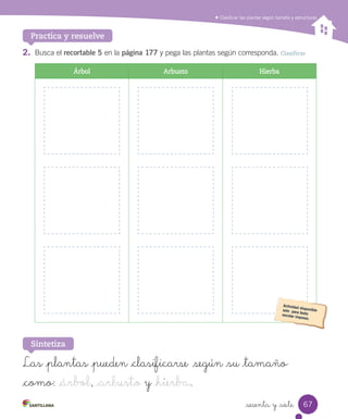 Clasificar las plantas según tamaño y estructuras
Practica y resuelve
2. Busca	el	recortable 5	en	la	página 177	y	pega	las	plantas	según	corresponda.	Clasificar
Árbol Arbusto Hierba
Las _plantas _pueden _clasificarse según _su _tamaño
_como: _árbol, _arbusto y _hierba.
Sintetiza
67
sesenta y _siete
 