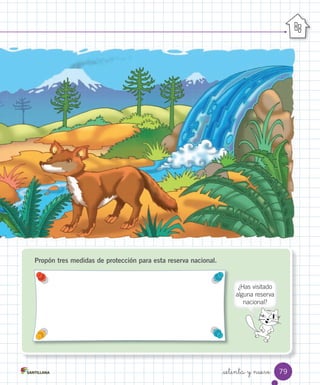 Propón tres medidas de protección para esta reserva nacional.
¿Has	visitado
alguna	reserva
nacional?
79
setenta y nueve
 