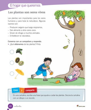 Las plantas son seres vivos
Las	plantas	son	importantes	para	los	seres	
humanos	y	para	toda	la	naturaleza.	Algunas	
razones	son:
–	 Producen	oxígeno	que	luego	respiramos.
–	 Dan	alimento	a	otros	seres	vivos.
–	 Sirven	de	refugio	a	muchos	animales.
–	 Embellecen	la	naturaleza.
Conversa con un compañero y responde:
•	 ¿Qué	obtenemos	de	las	plantas?	Pinta.
comparte
y
Crea
En	una	cartulina,	escribe	una	frase	que	ayude	a	cuidar	las	plantas.	Decora	la	cartulina	
con	un	dibujo	o	un	recorte.
El	hogar	que	queremos
80 _ochenta
 