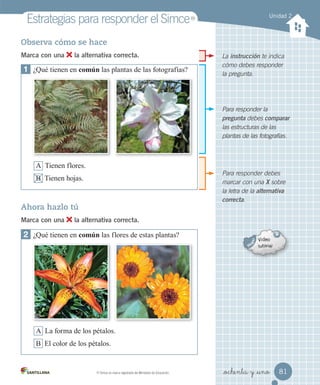 Unidad 2
Estrategias	para	responder	el	Simce
MR
	Simce	es	marca	registrada	del	Ministerio	de	Educación.
MR
Observa cómo se hace
Marca con una la alternativa correcta.
2 ¿Qué tienen en común las flores de estas plantas?
A La forma de los pétalos.
B El color de los pétalos.
Ahora hazlo tú
Marca con una la alternativa correcta.
1 ¿Qué tienen en común las plantas de las fotografías?
A Tienen flores.
B Tienen hojas.
Para responder debes
marcar con una X sobre
la letra de la alternativa
correcta.
Para responder la
pregunta debes comparar
las estructuras de las
plantas de las fotografías.
La instrucción te indica
cómo debes responder
la pregunta.
81
_ochenta y _uno
 
