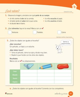 85
_ochenta y _cinco
¿Qué	sabes? Evaluación inicial
1.	 Observa	la	imagen	y	encierra	con	qué	parte de su cuerpo:
•	 el	niño	siente	el	olor	de	la	comida.	 •		la	niña	escucha	al	papá.
•	 el	bebé	siente	el	sabor	de	lo	que	come.	 •		la	niña	acaricia	al	bebé.
•	 el	abuelo	lee	el	diario.
2.	 ¿Qué	alimentos	hay	en	la	mesa?	Marca	con	un	 .
	Verduras																															 	Pasteles																															 	Carne
Habilidad científica: Experimentar
3.	 ¿Todos	los	objetos	son	iguales	al	tocarlos?
¿Qué necesitas?
Un	pañuelo,	un	lápiz	y	un	estuche.
¿Qué debes hacer?
•	 Toma	el	pañuelo,	cierra	tus	ojos	y	tócalo	muy	bien.
•	 Repite	lo	que	hiciste	con	los	otros	dos	objetos.
Resultados
Marca	con	un	 	tus	observaciones.
Duro
Blando
Suave
Áspero
a.	 ¿Todos	los	objetos	son	iguales	al	tocarlos?	Comenta	con	tus	compañeros.
Vamos	a
experimentar.
tus
 