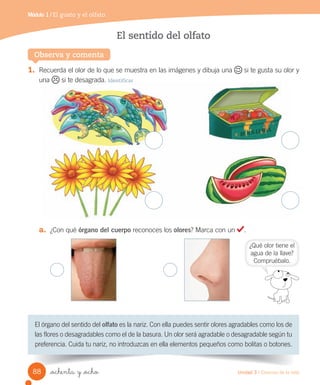 Módulo 1 / El gusto y el olfato
Observa y comenta
El	órgano	del	sentido	del	olfato	es	la	nariz.	Con	ella	puedes	sentir	olores	agradables	como	los	de	
las	flores	o	desagradables	como	el	de	la	basura.	Un	olor	será	agradable	o	desagradable	según	tu	
preferencia.	Cuida	tu	nariz,	no	introduzcas	en	ella	elementos	pequeños	como	bolitas	o	botones.
1.	 Recuerda	el	olor	de	lo	que	se	muestra	en	las	imágenes	y	dibuja	una	 	si	te	gusta	su	olor	y	
una	 	si	te	desagrada.	Identificar
a.	 ¿Con	qué	órgano del cuerpo	reconoces	los	olores?	Marca	con	un	 .
El sentido del olfato
¿Qué	olor	tiene	el
agua	de	la	llave?	
Compruébalo.
88 Unidad 3 / Ciencias de la vida
_ochenta y _ocho
 