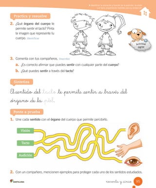Identificar la ubicación y función de la audición, la visión
y el tacto proponiendo medidas para su protección
2. ¿Qué	órgano del cuerpo	te
permite	sentir	el	tacto?	Pinta
la	imagen	que	represente	tu
cuerpo.	Identificar
3. Comenta	con	tus	compañeros.	Describir
a. ¿Es	correcto	afirmar	que	puedes	sentir	con	cualquier	parte	del	cuerpo?
b. ¿Qué	puedes	sentir	a	través	del	tacto?
Practica y resuelve
1. Une	cada	sentido	con	el	órgano	del	cuerpo	que	permite	percibirlo.
2. Con	un	compañero,	mencionen	ejemplos	para	proteger	cada	uno	de	los	sentidos	estudiados.
Ponte a prueba
El sentido _del _tacto _te _permite _sentir _a _través _del
_órgano _de _la _piel.
Sintetiza
Visión
Tacto
Audición
95
noventa y _cinco
 