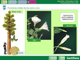 Seres vivos Funciones vitales de los seres vivos RESPUESTA  ANTE CAMBIOS  AMBIENTALES DÍA NOCHE INICIO ESQUEMA RECURSOS INTERNET SALIR ANTERIOR VOLVER 