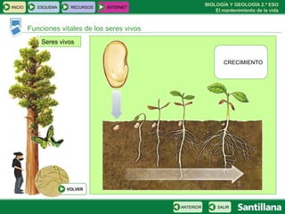 Seres vivos Funciones vitales de los seres vivos CRECIMIENTO INICIO ESQUEMA RECURSOS INTERNET SALIR ANTERIOR VOLVER 