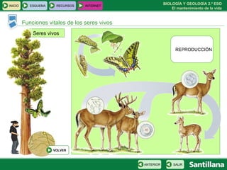 Seres vivos Funciones vitales de los seres vivos REPRODUCCIÓN INICIO ESQUEMA RECURSOS INTERNET SALIR ANTERIOR VOLVER 